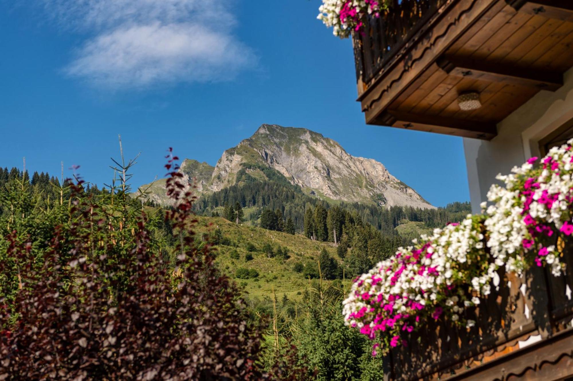 Bauernhofhotel "Die Unterbergerin" - Zimmer Mit Fruehstueck Und Ferienwohnungen In Gastein Mit Gratis Thermeneintritt Дорфгаштайн Экстерьер фото