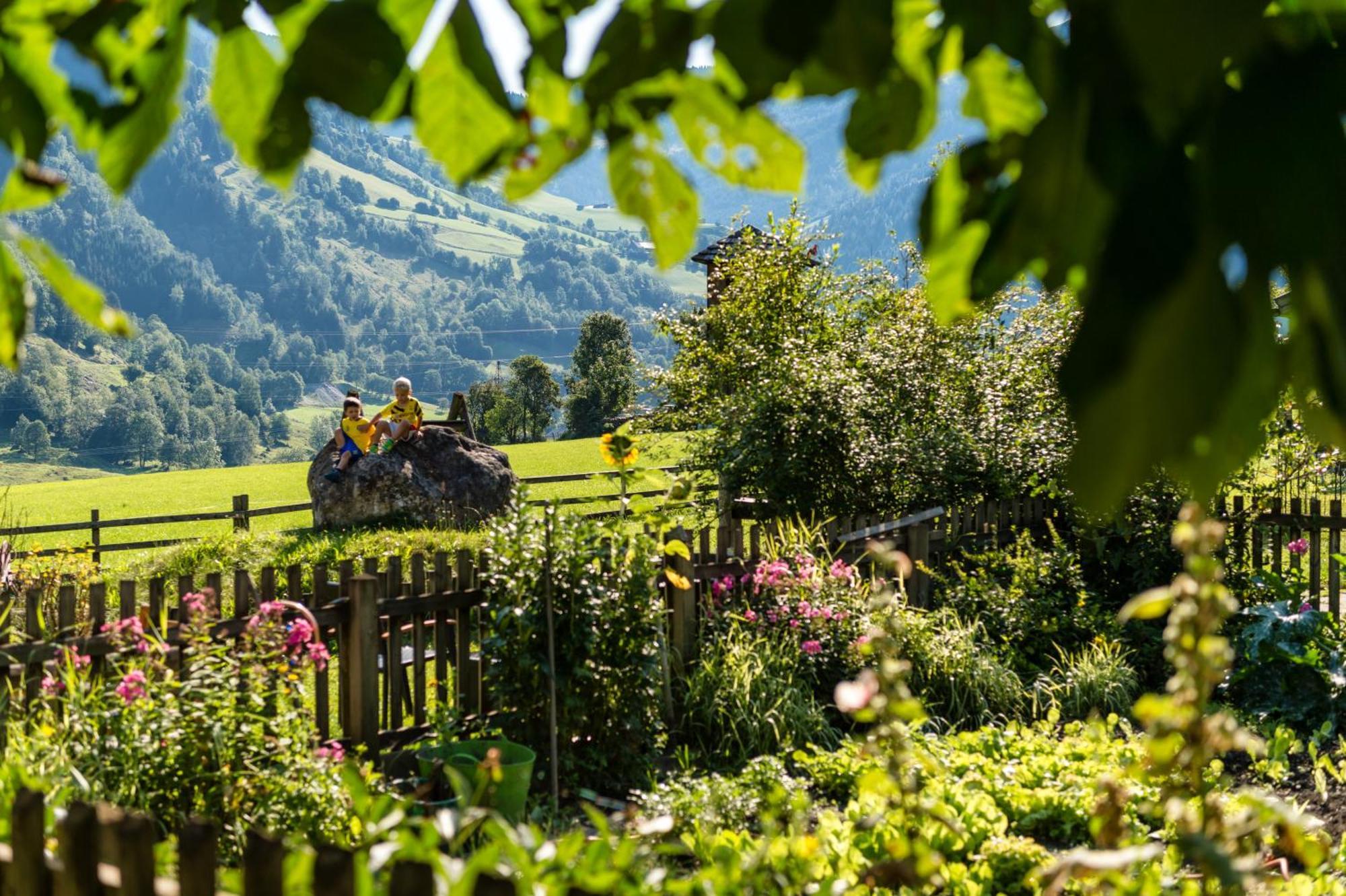 Bauernhofhotel "Die Unterbergerin" - Zimmer Mit Fruehstueck Und Ferienwohnungen In Gastein Mit Gratis Thermeneintritt Дорфгаштайн Экстерьер фото